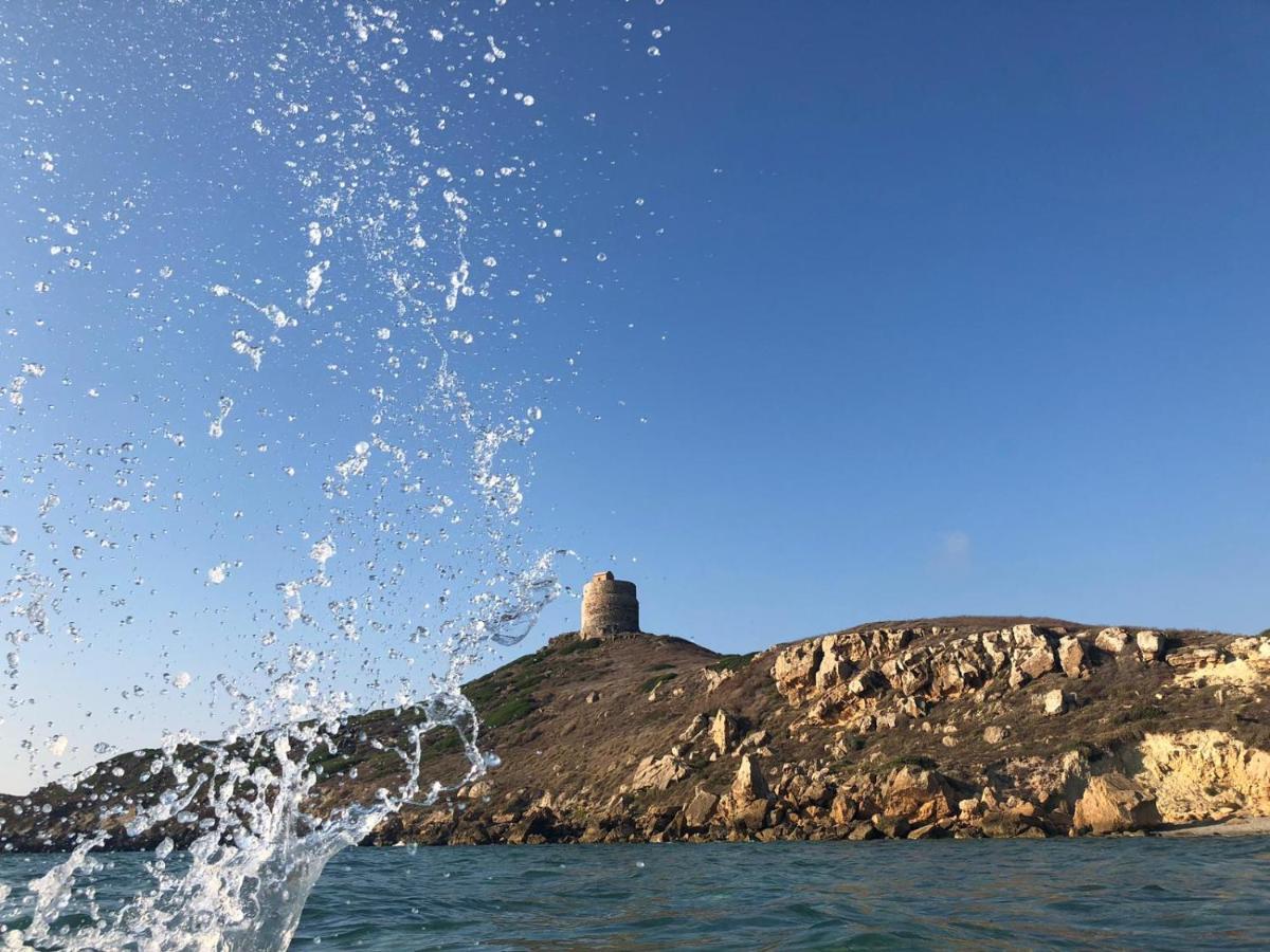 Torremana *